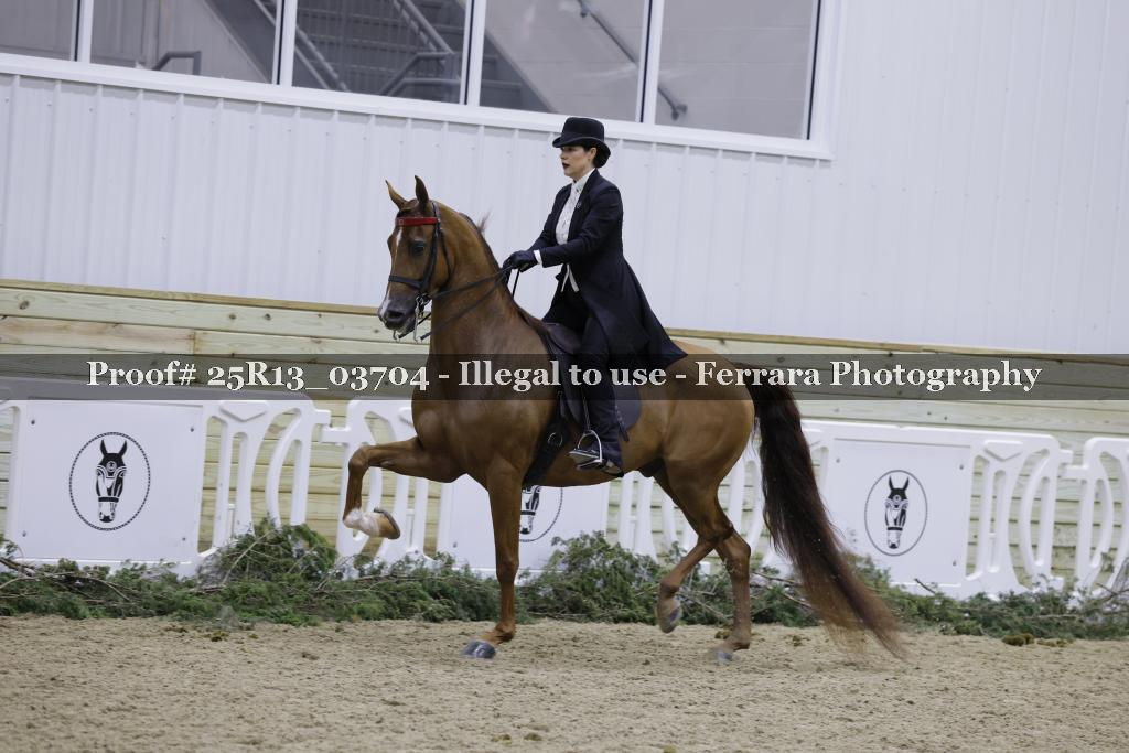 Proof 25R13_03704
