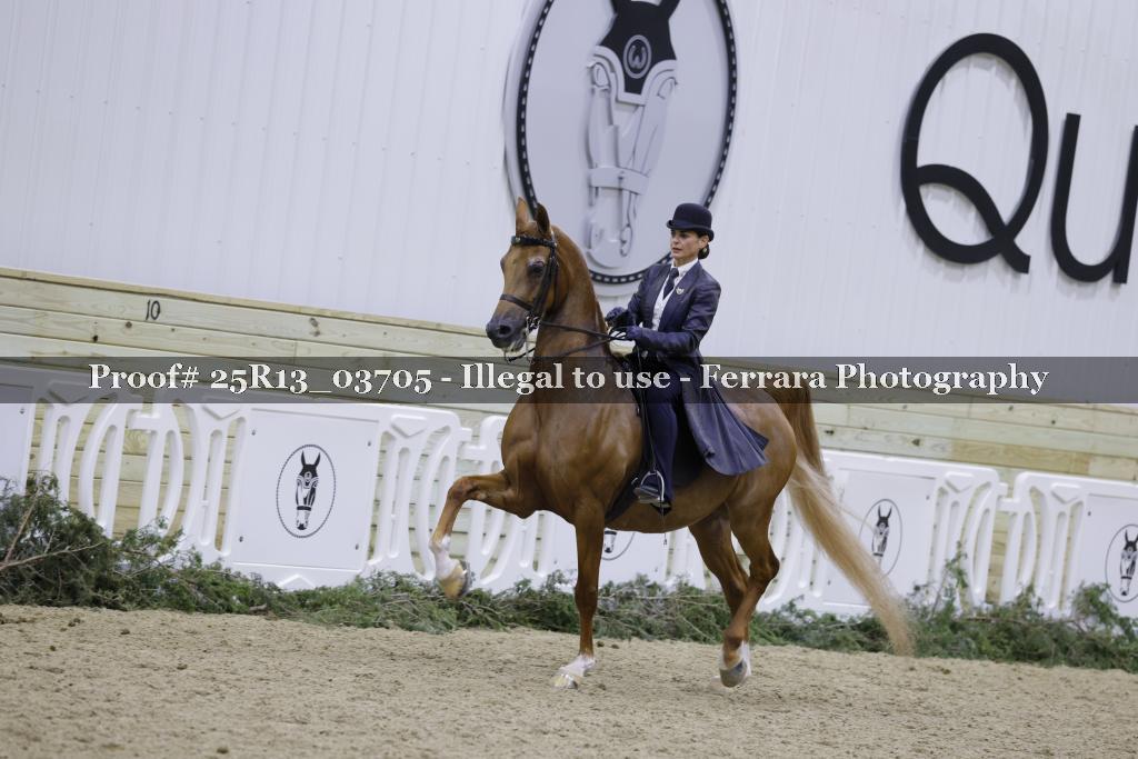 Proof 25R13_03705