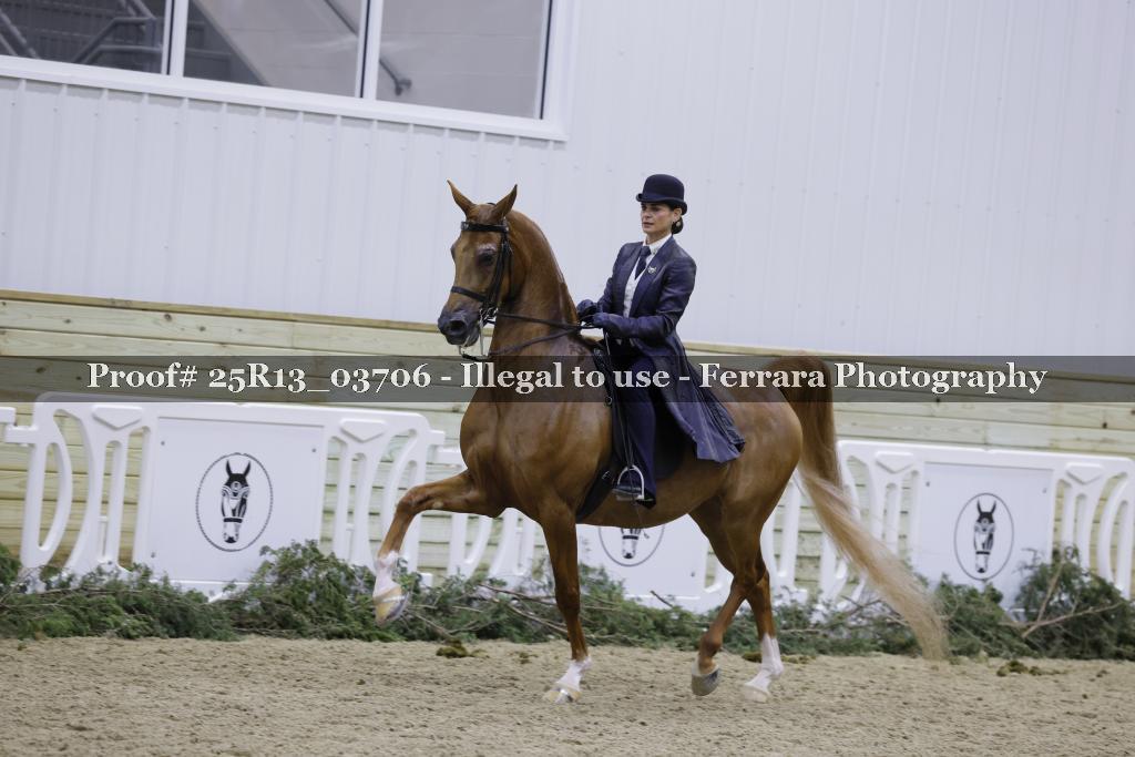 Proof 25R13_03706