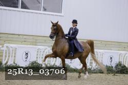 25R13_03706 proof