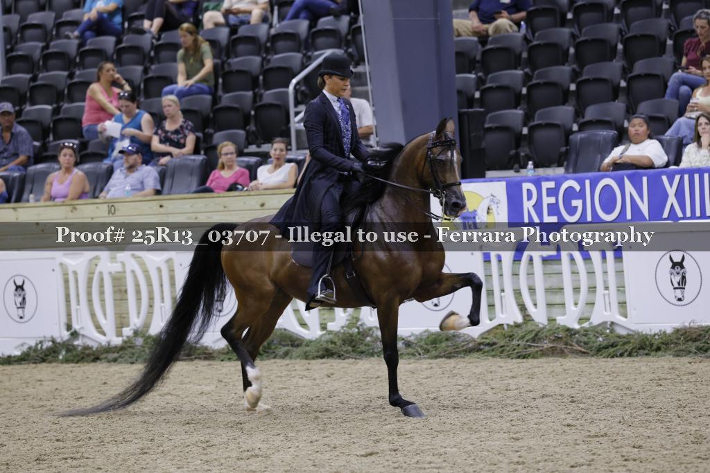 Proof 25R13_03707