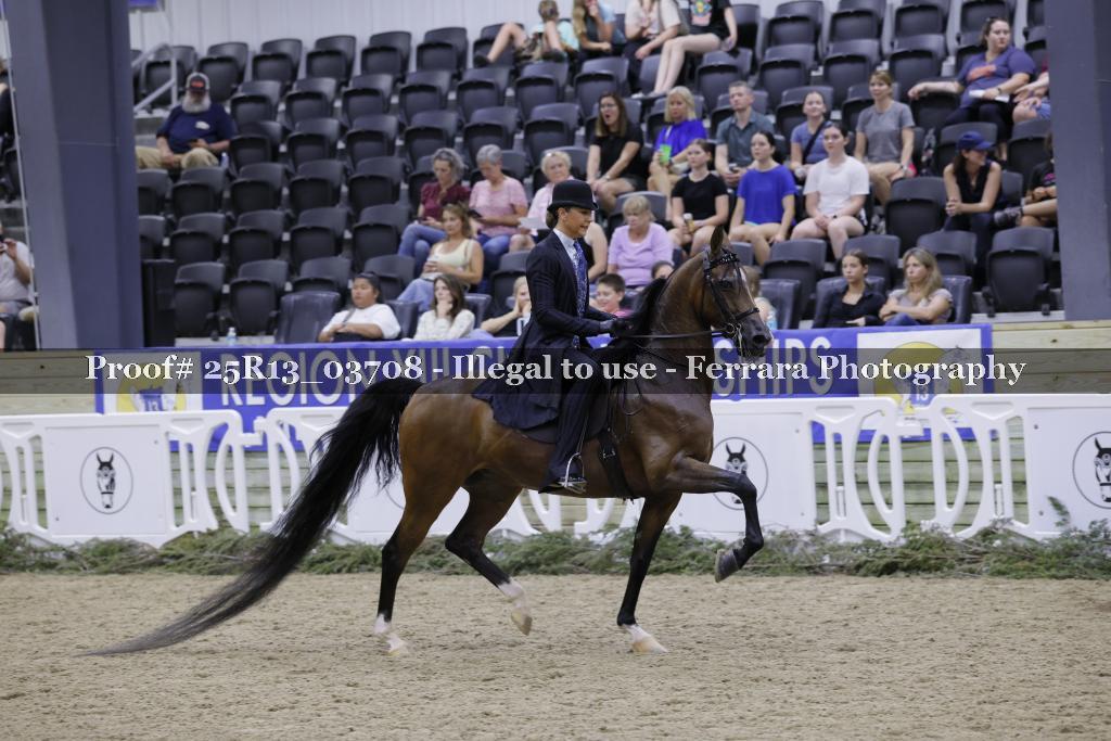Proof 25R13_03708