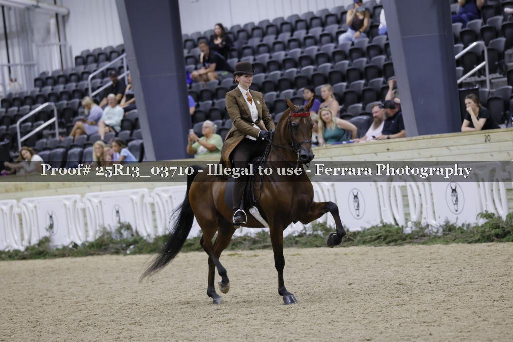 Proof 25R13_03710