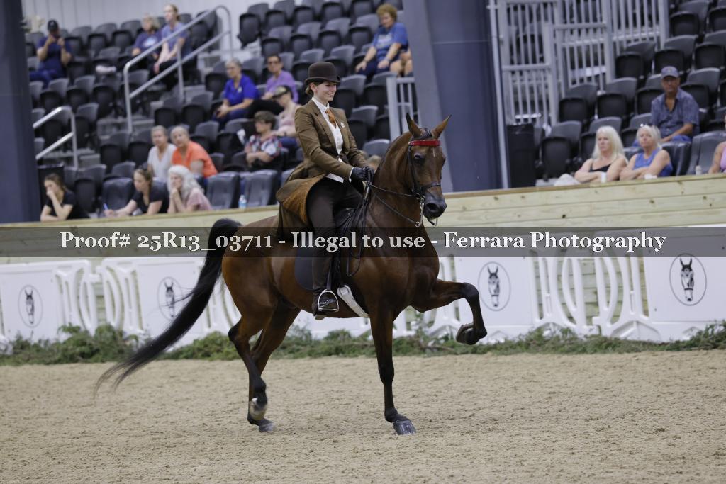 Proof 25R13_03711