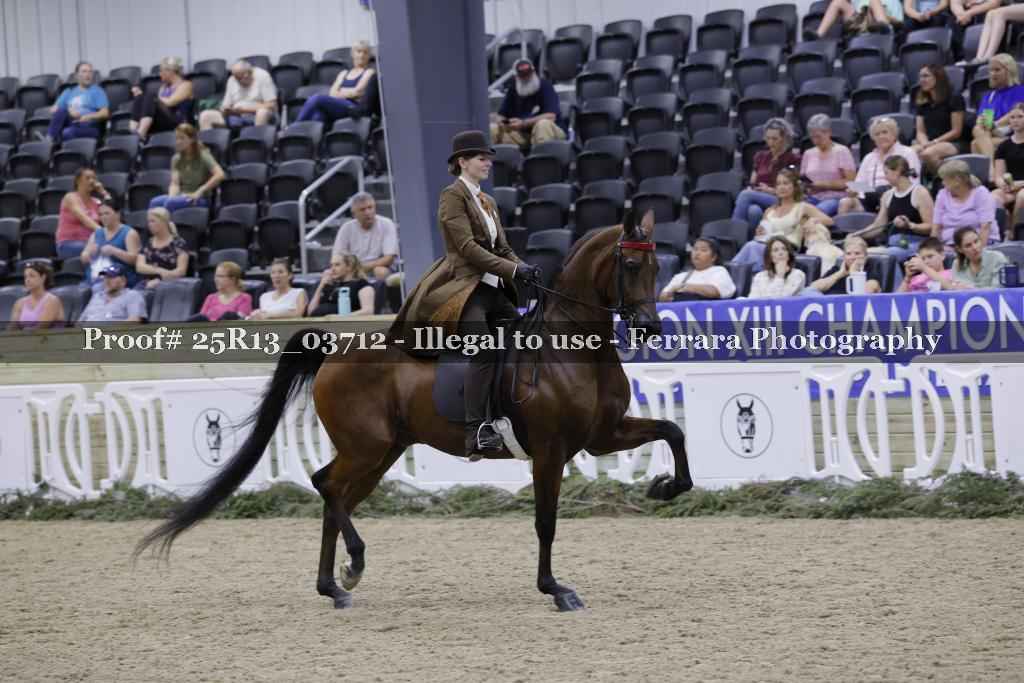 Proof 25R13_03712