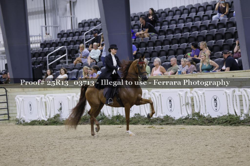 Proof 25R13_03713