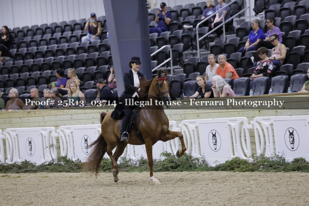 Proof 25R13_03714