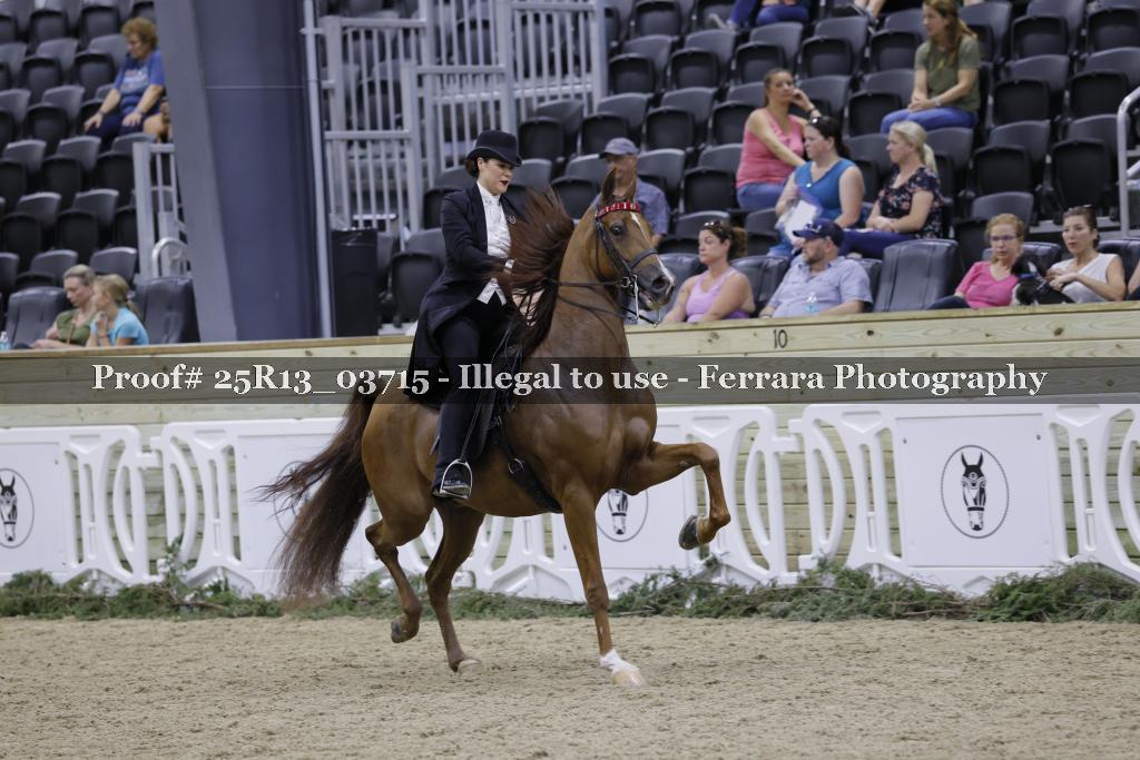 Proof 25R13_03715