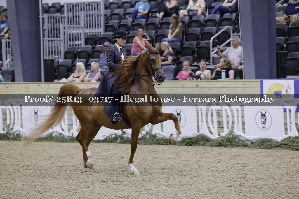 Proof 25R13_03717