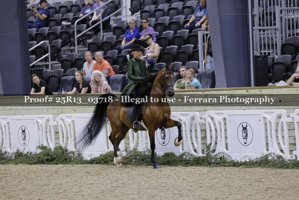 Proof 25R13_03718