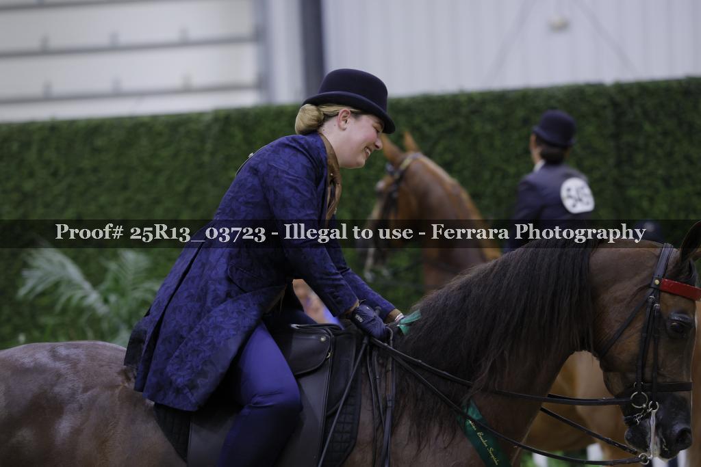 Proof 25R13_03723