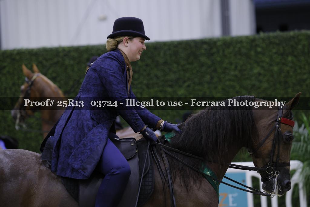 Proof 25R13_03724