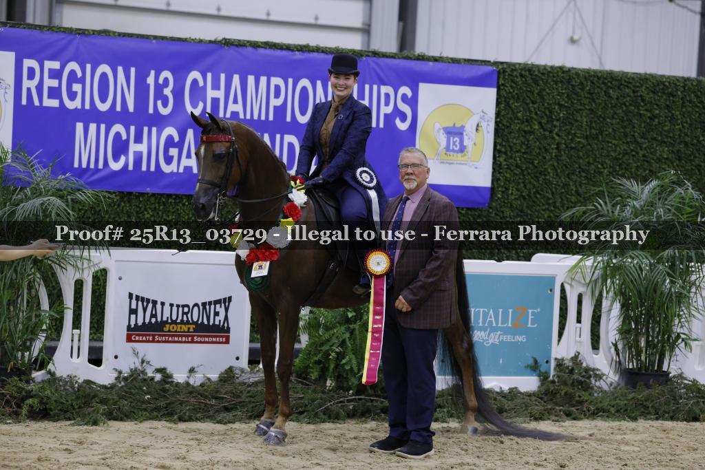 Proof 25R13_03729