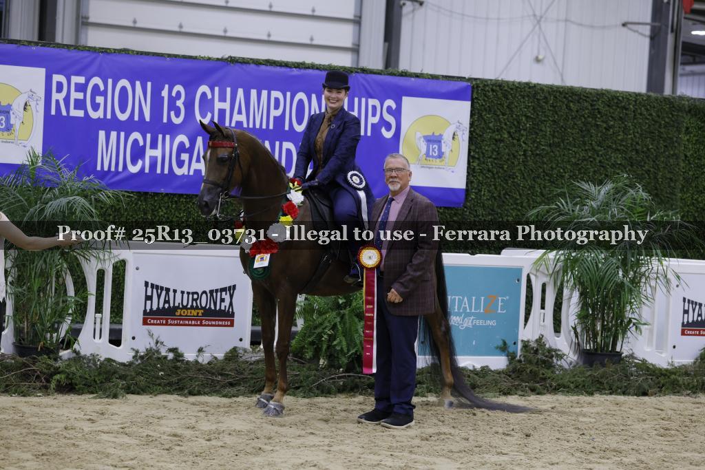 Proof 25R13_03731
