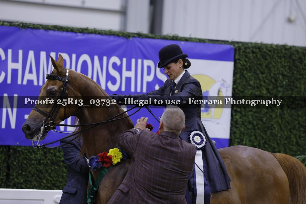 Proof 25R13_03732