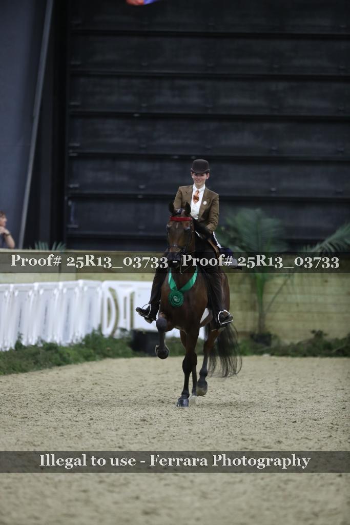 Proof 25R13_03733