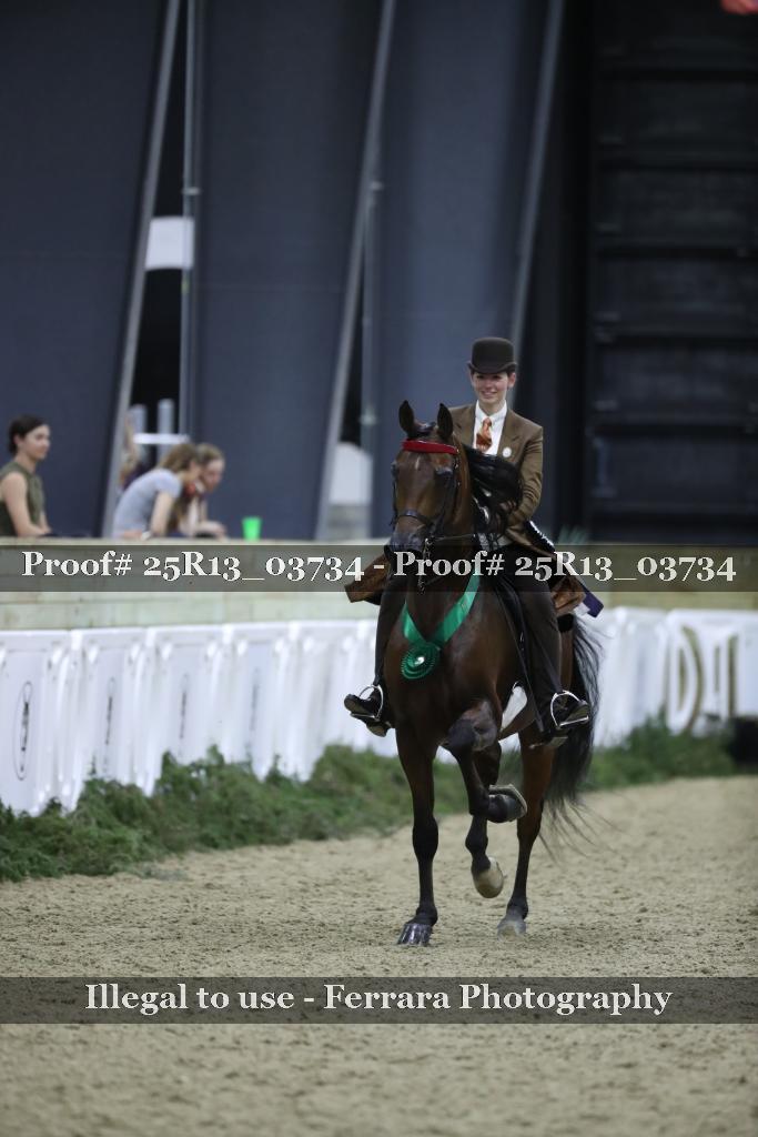 Proof 25R13_03734