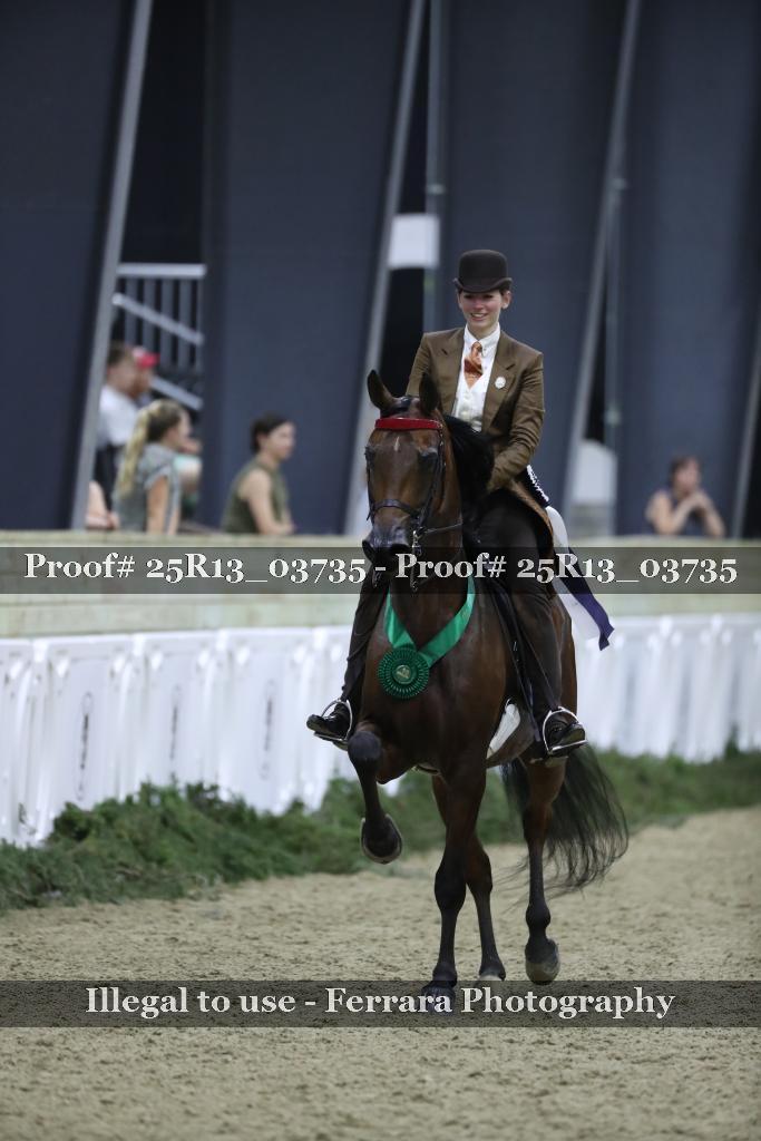 Proof 25R13_03735