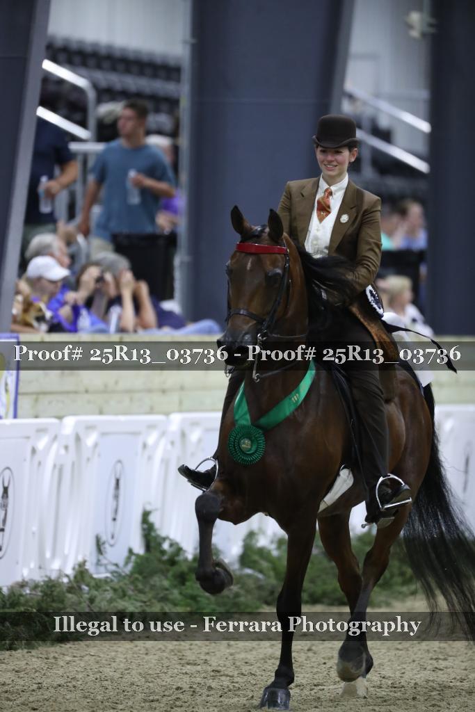 Proof 25R13_03736