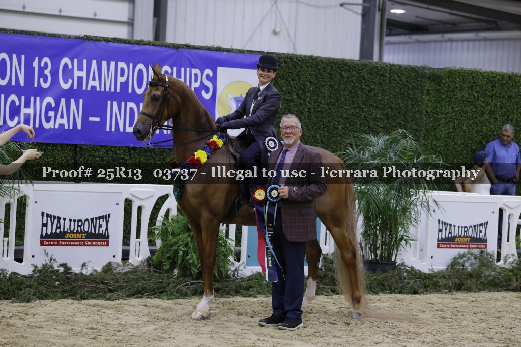 Proof 25R13_03737