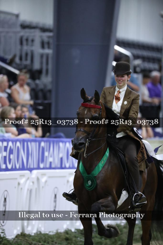 Proof 25R13_03738