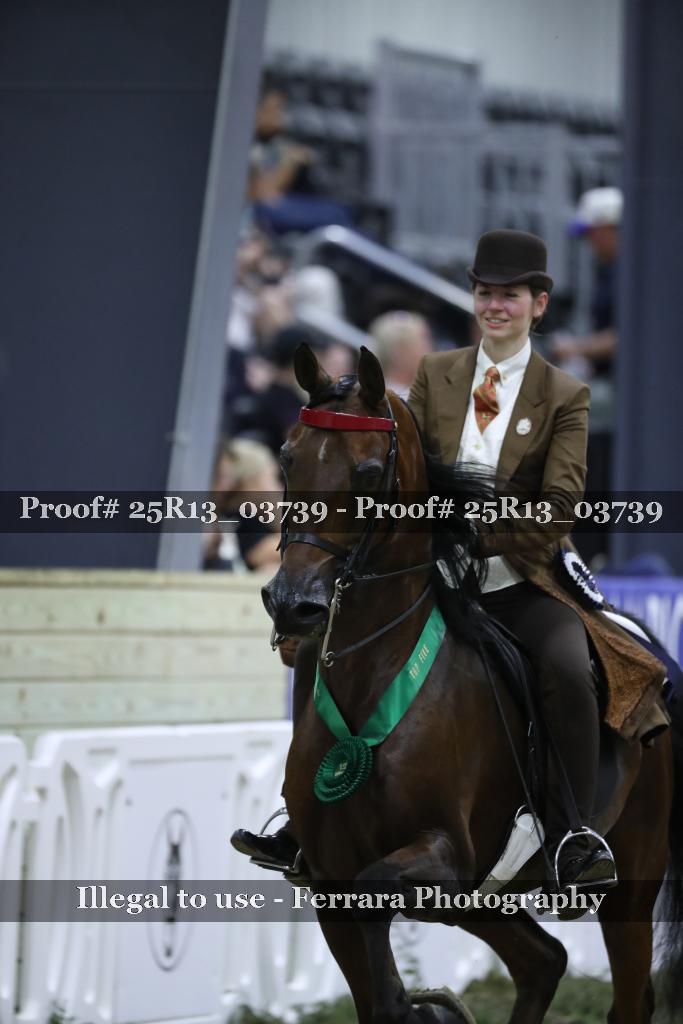 Proof 25R13_03739