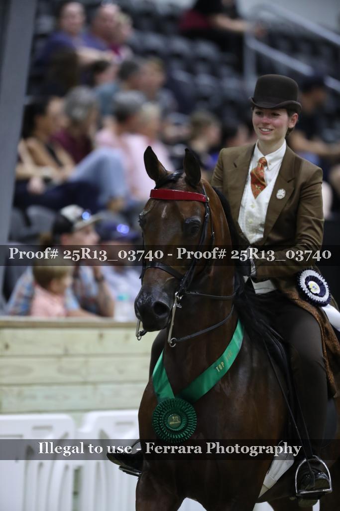 Proof 25R13_03740