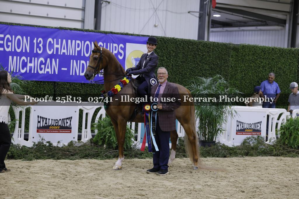 Proof 25R13_03741