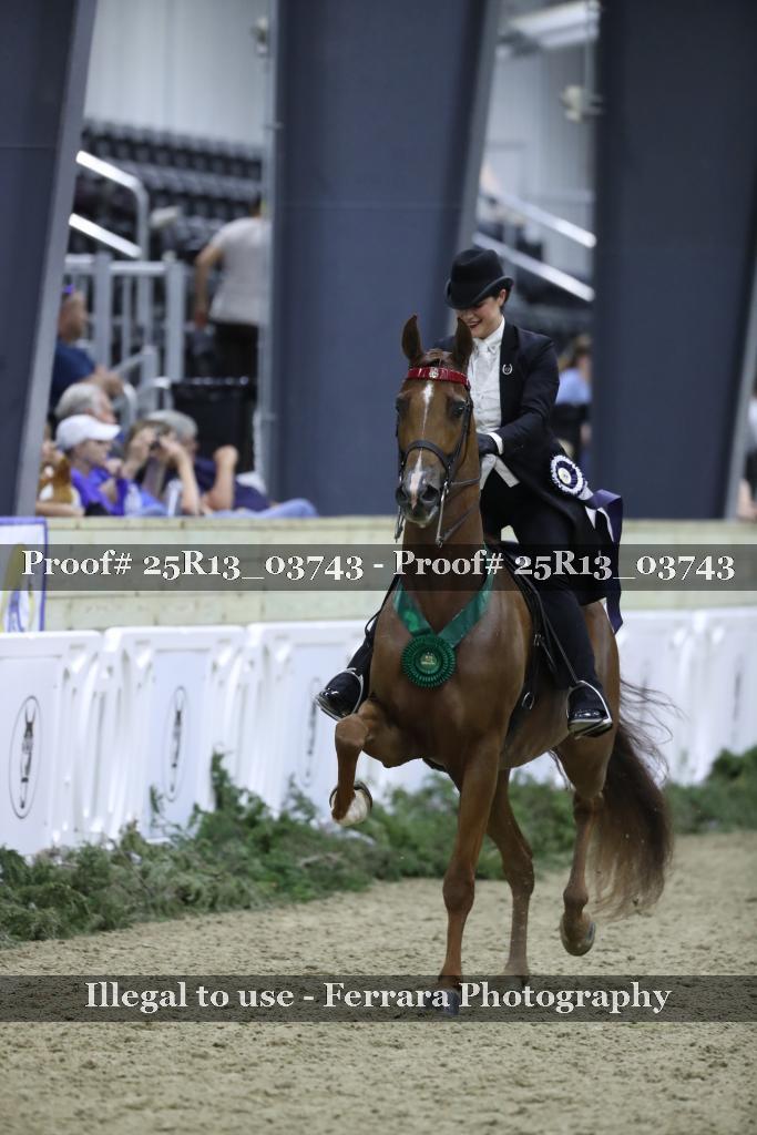 Proof 25R13_03743