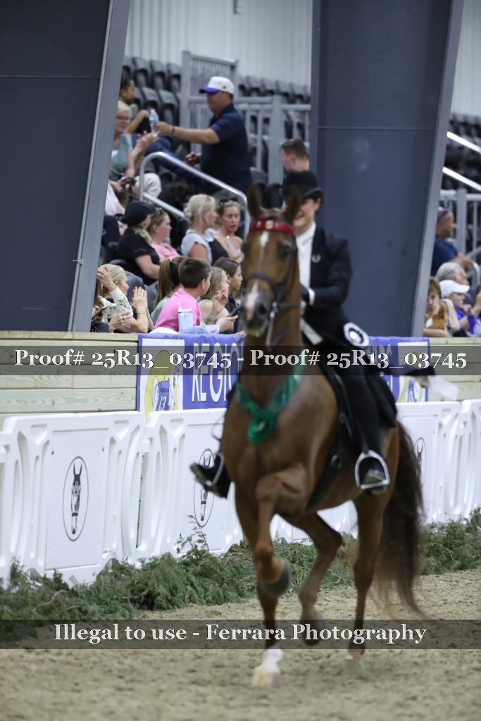 Proof 25R13_03745