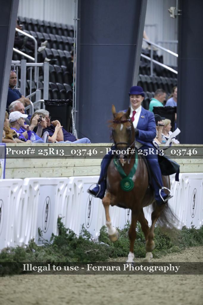 Proof 25R13_03746