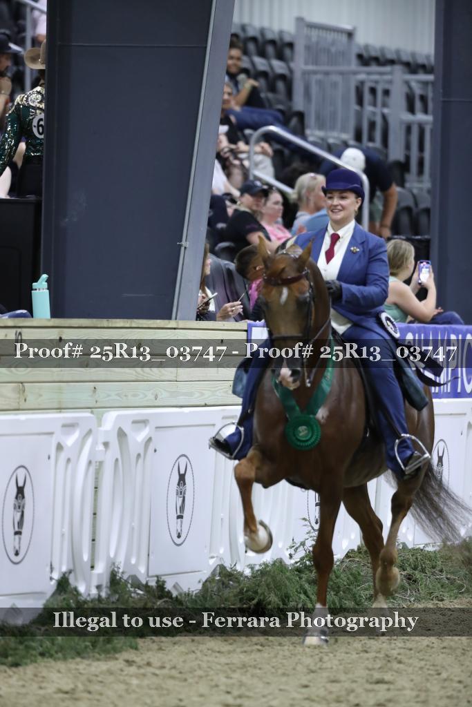Proof 25R13_03747