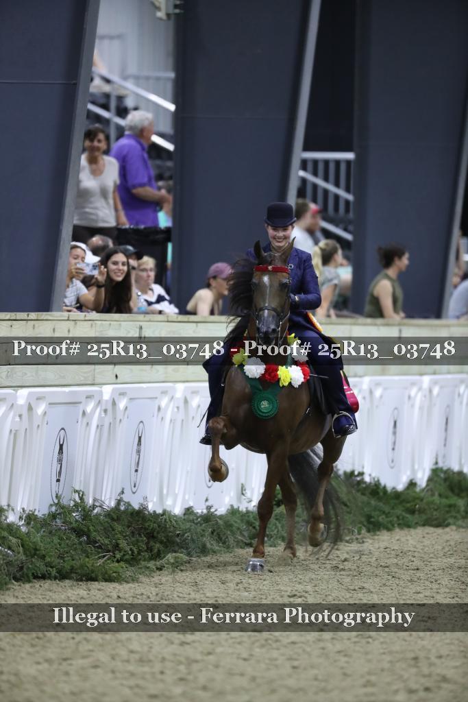 Proof 25R13_03748