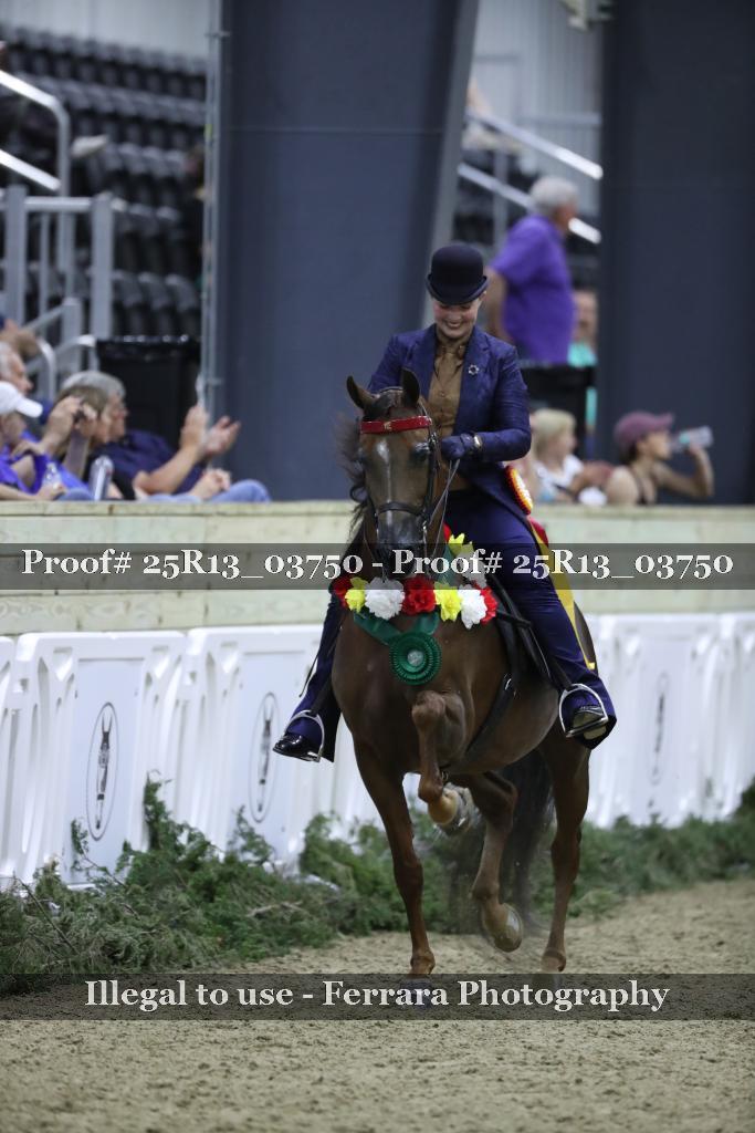Proof 25R13_03750