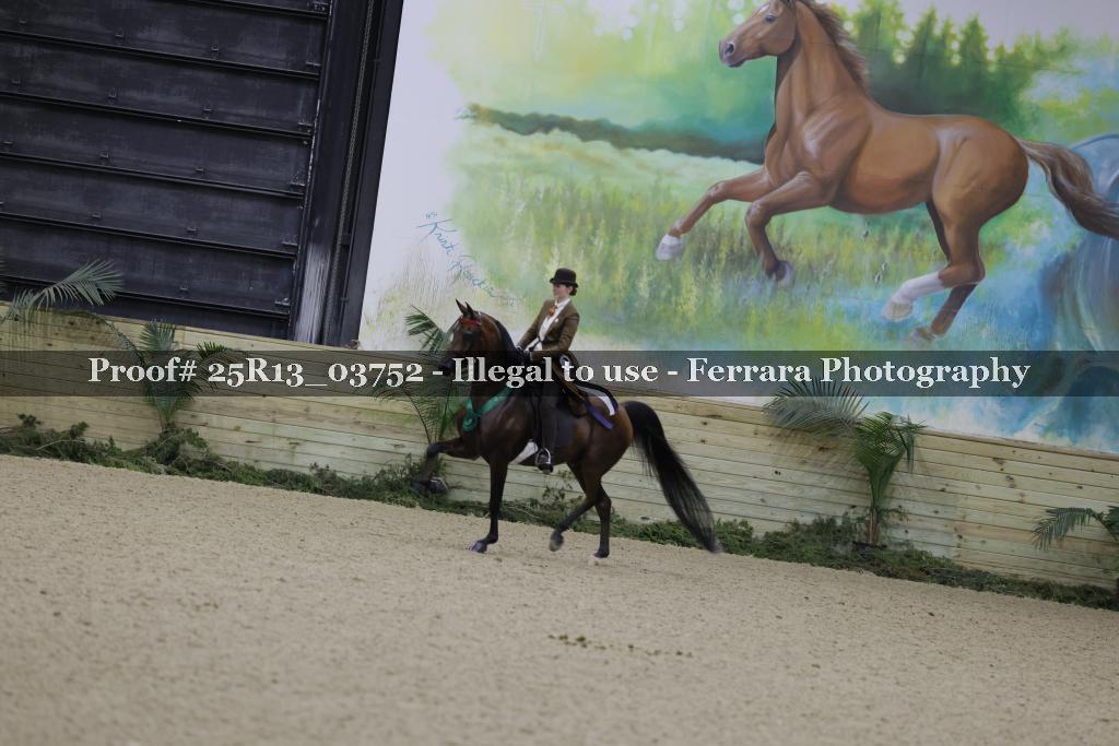 Proof 25R13_03752