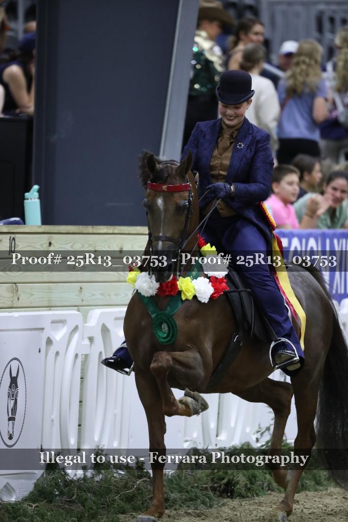 Proof 25R13_03753