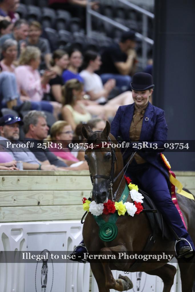 Proof 25R13_03754