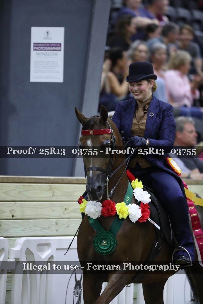 Proof 25R13_03755