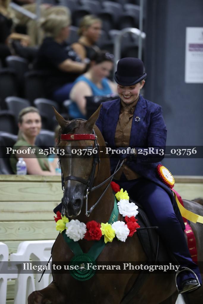 Proof 25R13_03756