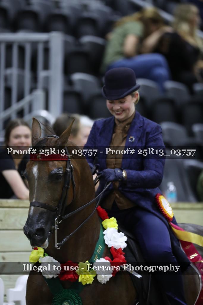Proof 25R13_03757