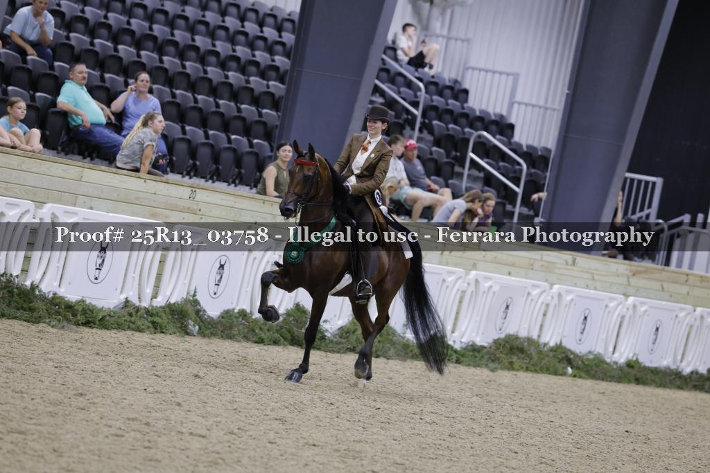 Proof 25R13_03758