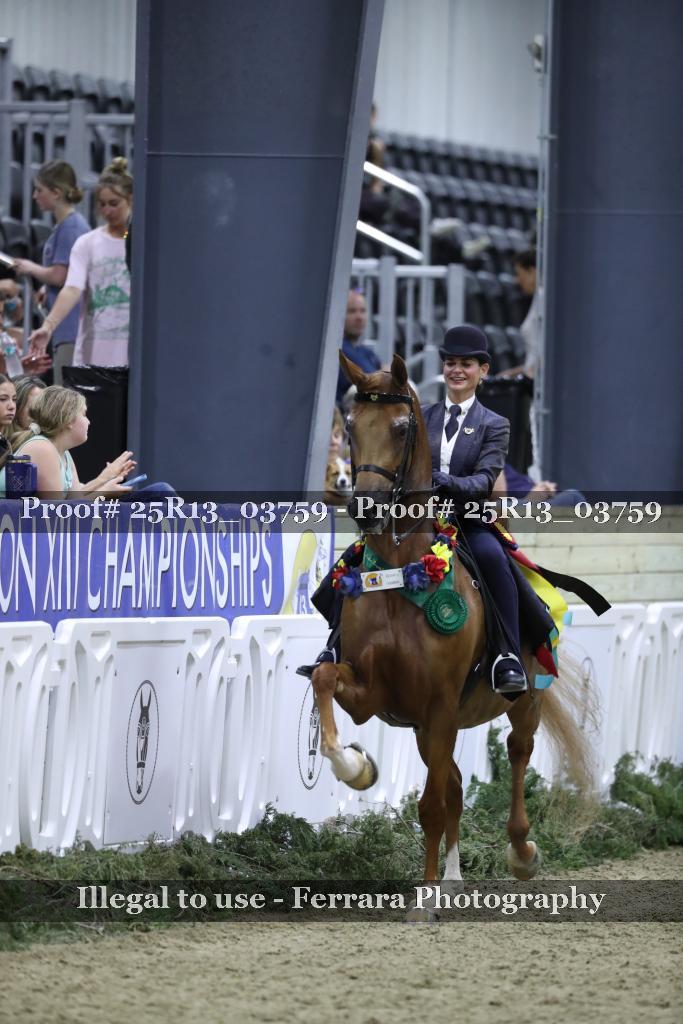 Proof 25R13_03759