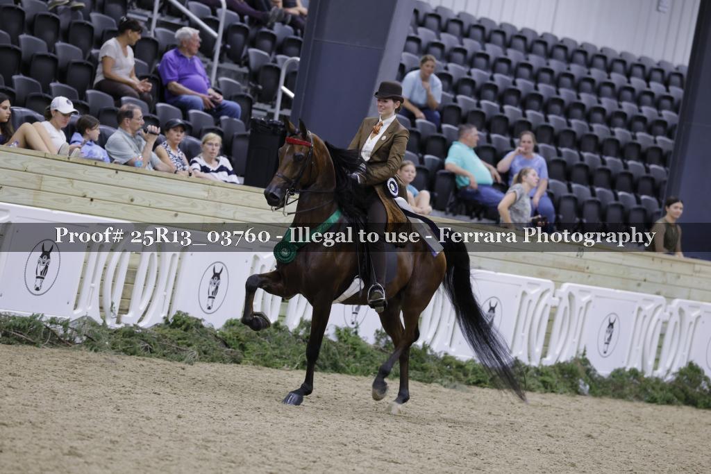 Proof 25R13_03760