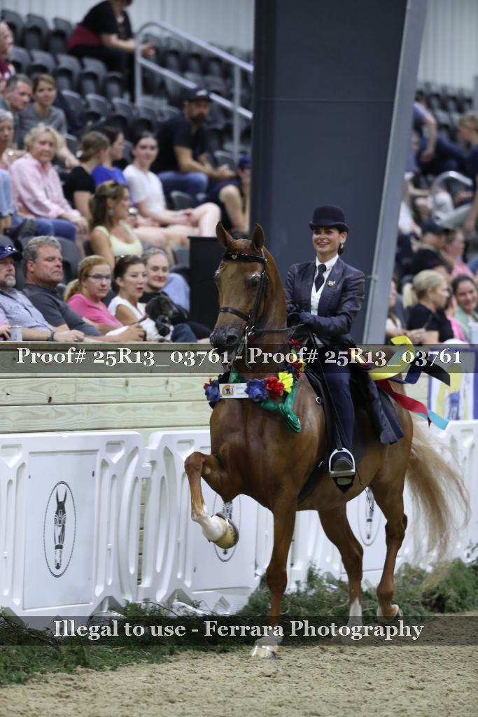 Proof 25R13_03761