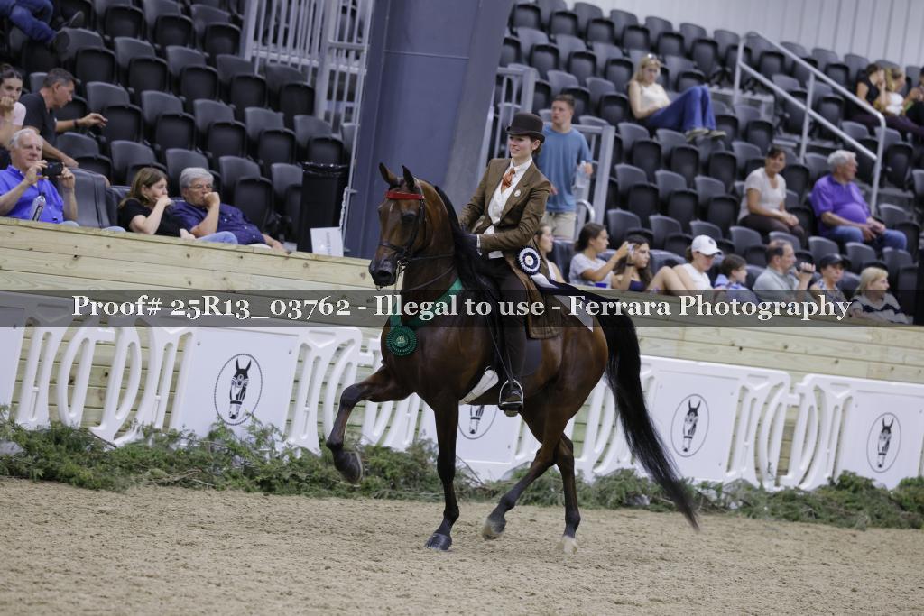 Proof 25R13_03762