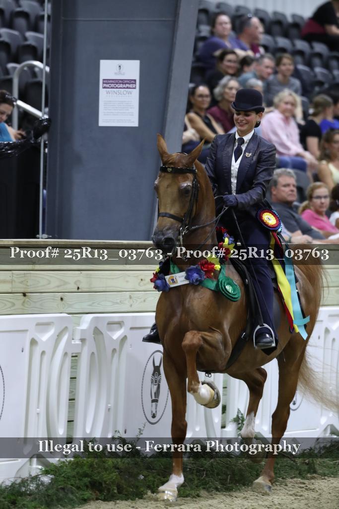 Proof 25R13_03763