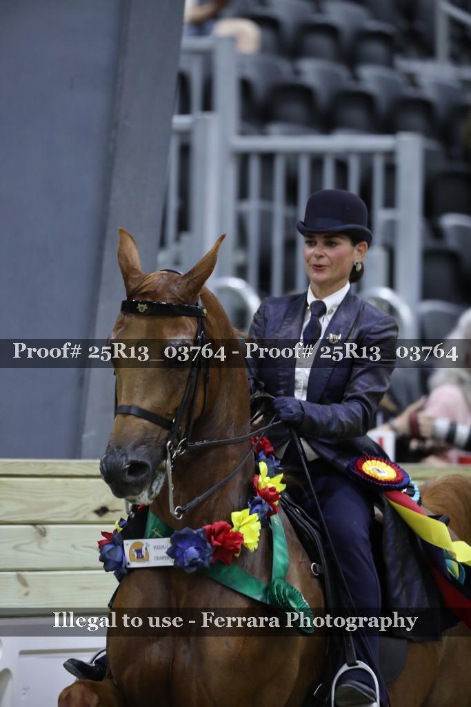 Proof 25R13_03764