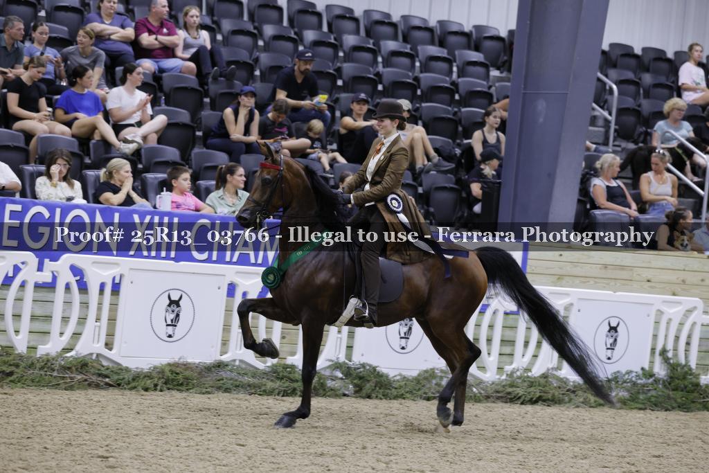 Proof 25R13_03766