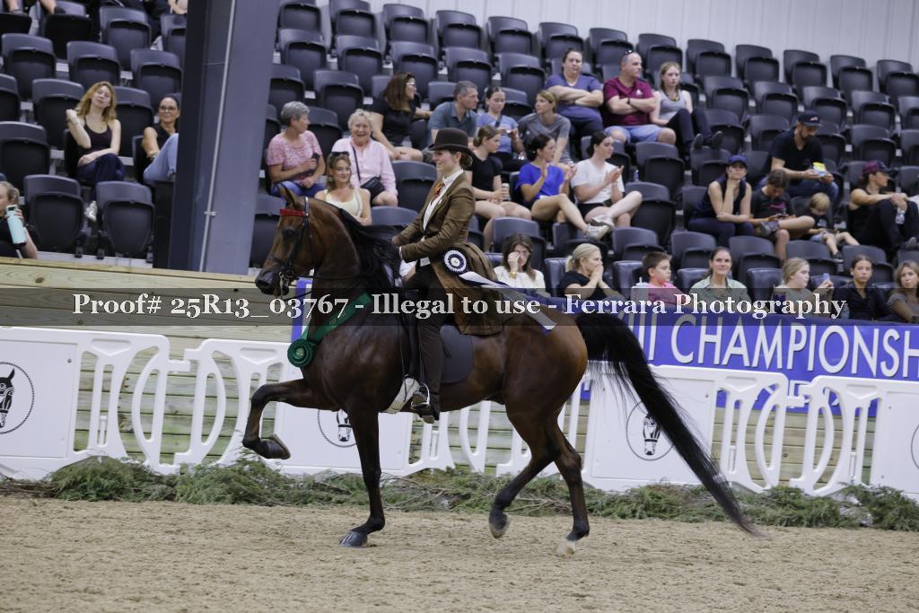 Proof 25R13_03767