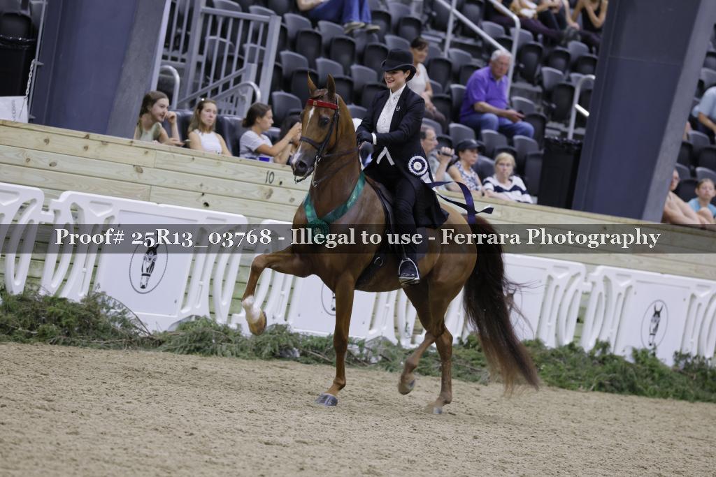 Proof 25R13_03768